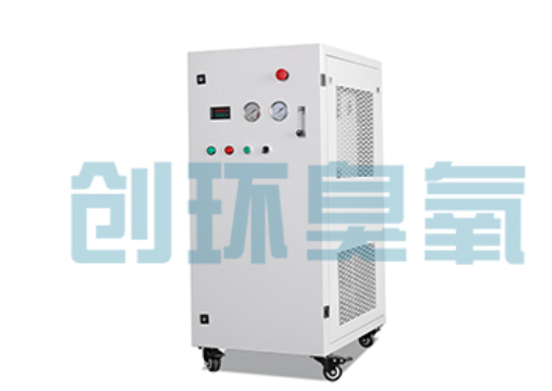 邢台石斑鱼养殖水质调控完整指南：臭氧发生器配置与操作步骤