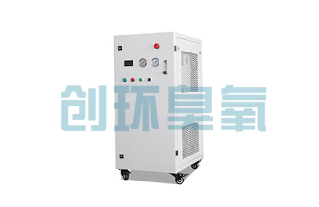 邢台比传统换水更高效？臭氧发生器在石斑鱼养殖中的水质净化原理解析