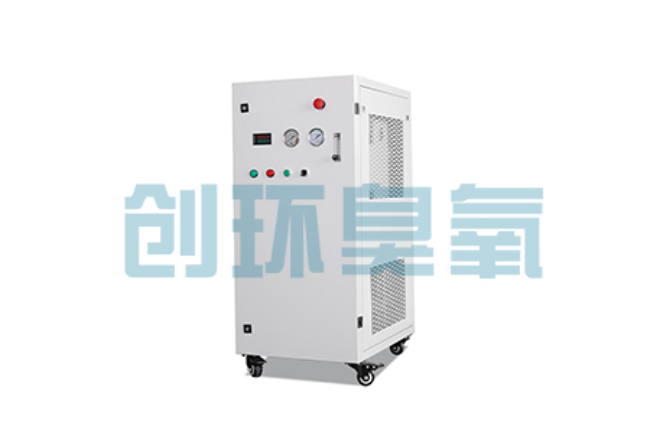 邢台比传统换水更高效？臭氧发生器在石斑鱼养殖中的水质净化原理解析